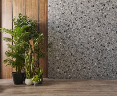 Dekoratif oda ve vazo konsepti, ahşap ve mermer duvar arka planı, sandalye masası ve kanepe iç tasarımı..