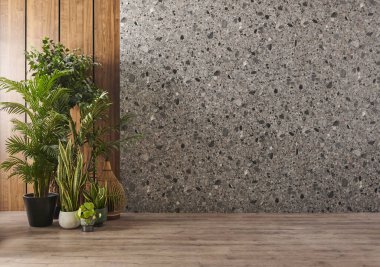 Konsept, vazo yeşil bitki, sandalye, çerçeve ve ahşap mermer arka plan.