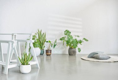 Çiçek dizaynının dekoratif vazosu, beyaz arkaplan botanik iç konsepti.