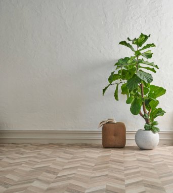 Gri duvar arkaplan parke oda ve beyaz kitaplık, sehpa, sörf tahtası, bitki ve sandalye konsepti.