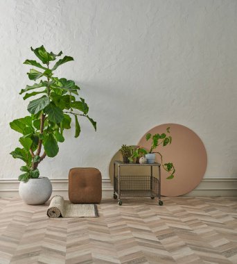 Gri duvar zemin parke odası ve renkli geometrik şekiller, sehpa, bitki ve sandalye konsepti.