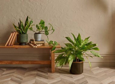 Yeşil botanik odası konsepti, bitki vazosu, mobilya koltuğu ve banka tarzı, iç dekorasyon, koyu sarı duvar arka planı.