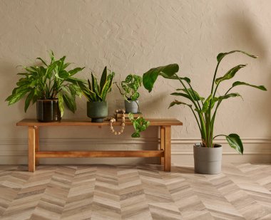 Yeşil botanik odası konsepti, bitki vazosu, mobilya koltuğu ve banka tarzı, iç dekorasyon, koyu sarı duvar arka planı.