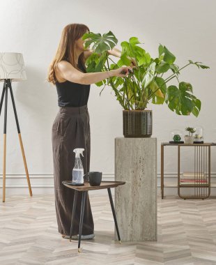 Siyah bluzlu ve koyu renkli geniş pantolonlu bir kadın büyük bir bitkiyi sular. Bitki koyu tencerede açık renkli bir kaidede oturur..