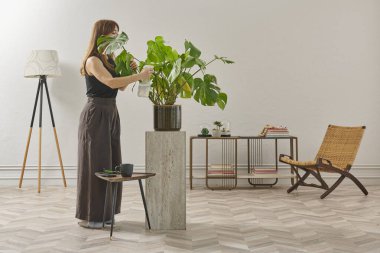 Siyah bluzlu ve koyu renkli geniş pantolonlu bir kadın büyük bir bitkiyi sular. Bitki koyu tencerede açık renkli bir kaidede oturur..