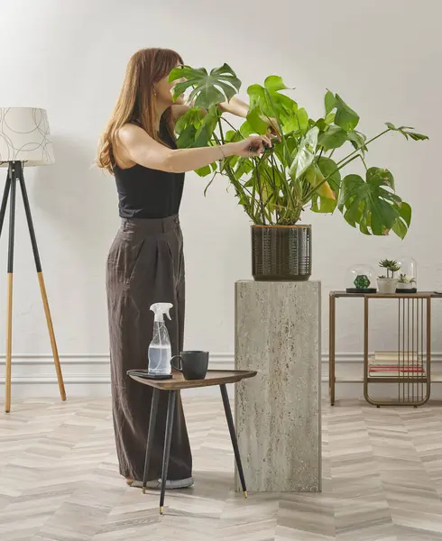 Siyah bluzlu ve koyu renkli geniş pantolonlu bir kadın büyük bir bitkiyi sular. Bitki koyu tencerede açık renkli bir kaidede oturur..