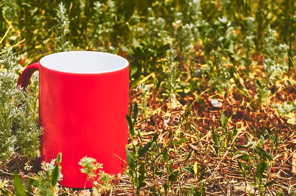 Czerwony Ceramiczny Kubek Zielonej Trawie Parku — Zdjęcie stockowe