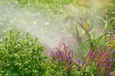 Neşe saçan yağmur damlaları ya da sulama sistemleri lanet bir şehir parkında                               