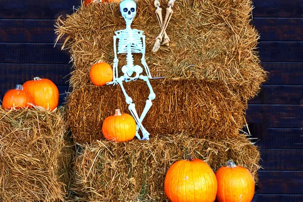Esqueleto Halloween Branco Feno Abóboras Laranja Escuro — Fotografia de Stock