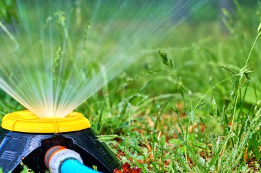 Sprinkler watering flowers on a hot day in a city park. Irrigation system                               