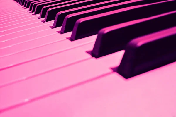Pink magenta musical keys of piano synthesizer with space for text