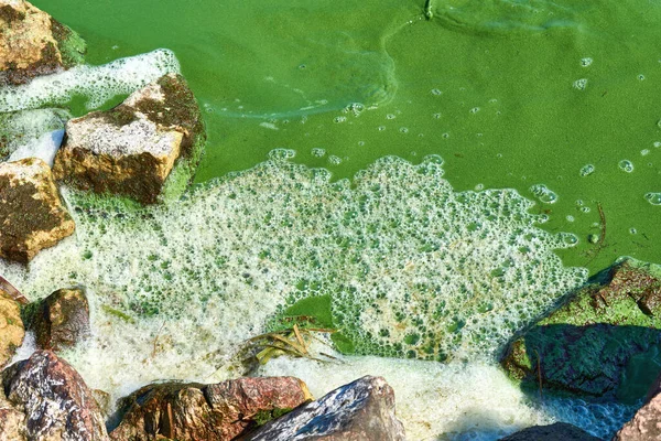 Ecologie Milieuvervuiling Vuil Groen Water Met Schuim Bij Stenen — Stockfoto