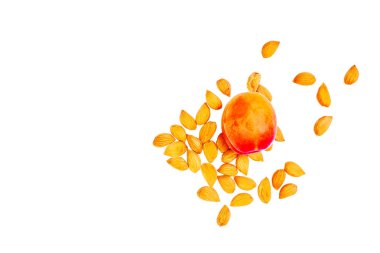 Ripe tasty apricot with scattered kernels isolated on white                              