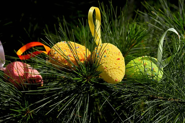 Açık Renkli Paskalya Yumurtaları Güneşli Bahar Günlerinde Köknar Dallarında — Stok fotoğraf