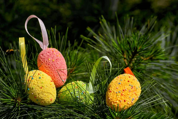 Ovos Páscoa Festivos Multicoloridos Leves Ramos Abeto Dia Primavera Ensolarado — Fotografia de Stock