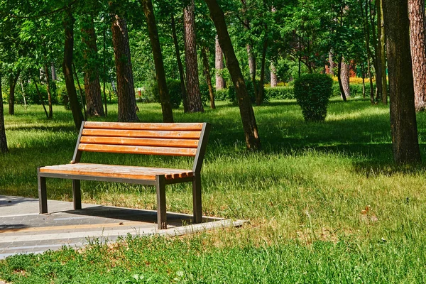 晴れた日に緑の公園でリラックスするための木製のベンチ — ストック写真