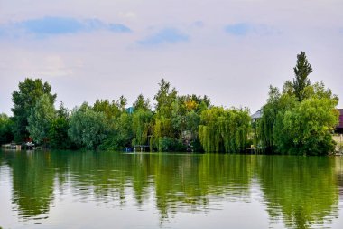 Köydeki gölün kıyısında yeşil çalılarla kaplanmış sakin bir nehir kıyısı.                              