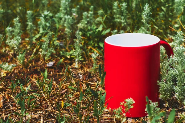 Кружка Красная Чашка Напитка Висит Зеленом Лугу Солнечный День — стоковое фото
