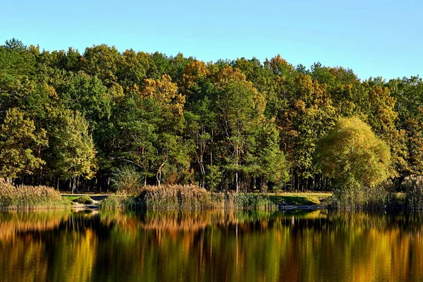 Autumn warm forest park on the shore of a calm serene lake on a sunny day