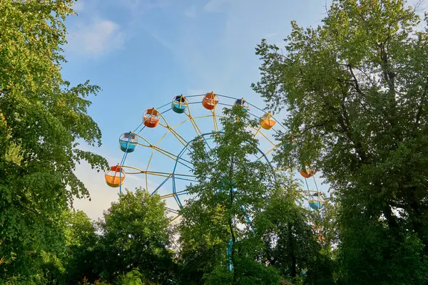 Разноцветное Колесо Обозрения Голубое Небо Зеленом Лесном Парке — стоковое фото