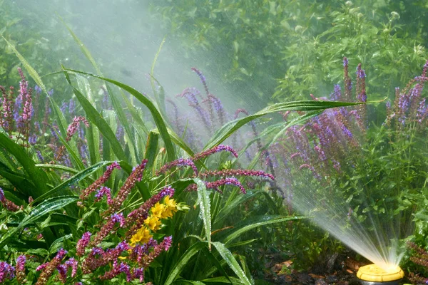 Sprinkler watering flowers on a hot day in a city park. Irrigation system