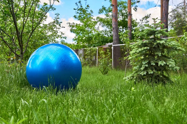 Oyunlar Için Büyük Mavi Lastik Top Yeşil Çimlerde Fiziksel Spor — Stok fotoğraf