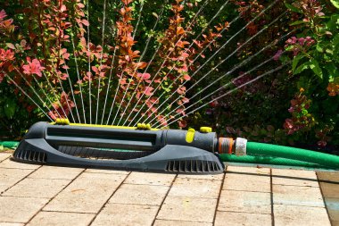 Irrigation system, sprinkler watering flowers on a hot day in a city park                               