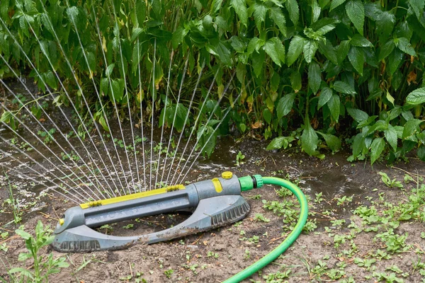 Irrigation System Sprinkler Watering Flowers Hot Day City Park — Fotografia de Stock