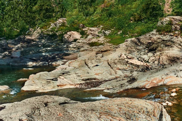 Der Fluss Eines Gebirgsflusses Zwischen Den Steinernen Felsen Saftig Grün — Stockfoto
