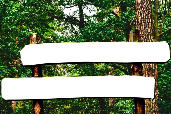 Pajzs Hirdetőtábla Egy Szövegkeret Nyári Zöld Erdő — Stock Fotó