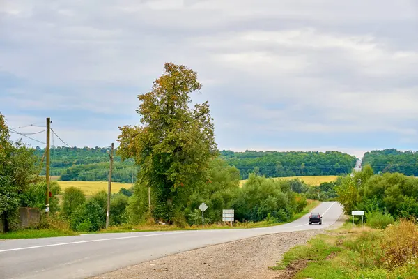stock image Travelling by car. Asphalt road among summer fields of green plantings                               