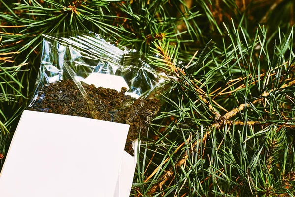 Bílý Kartónový Obal Čajem Bylinkovým Nápojem Zelenými Svěžími Smrkovými Větvemi — Stock fotografie