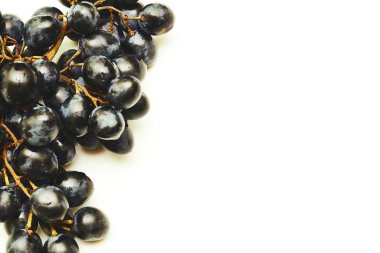 Bir demet olgun siyah üzüm. Şarap, meyve suyu. Tatlı.                               