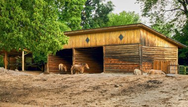  Kırsal çiftlik, hayvanat bahçesi, kahverengi atlarla ahşap ahır                              