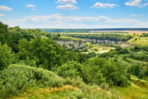 Yeşil bitki ve ağaçlarla kaplı kayalık bir kanyon.                               