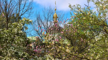 Bahar Paskalya havası. Altın kubbeli kilise, çiçek açan manolya bahçesi                               