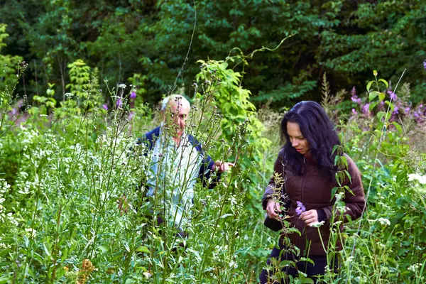 Yürüyüş. Genç bir kadın, yaşlı bir adam yürüyor. Çiçek açan bahar çalılıkları.                               