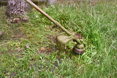 Bir çimenlikteki çimleri biçmek için elektrik ya da benzin makinesi