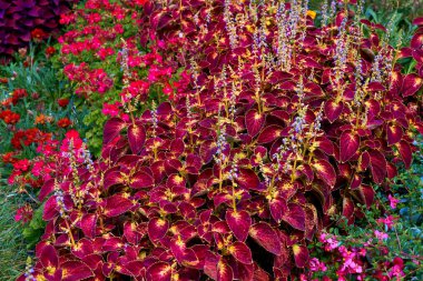 Mevcut tasarımı değiştirerek bir avlu ya da diğer arazi parçasını daha cazip hale getirme süreci