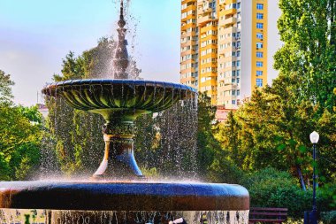 Havuzda ya da gölde bir ya da daha fazla su püskürtüsünün havaya pompalandığı süs bir yapı.