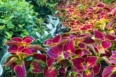 Mevcut tasarımı değiştirerek bir avlu ya da diğer arazi parçasını daha cazip hale getirme süreci