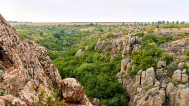 Yeşil bitki ve ağaçlarla kaplı kayalık bir kanyon.