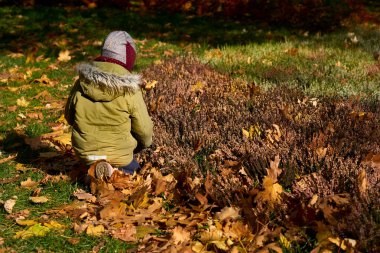 Sonbahar, yılın en renkli zamanıdır. Tüm mevsimlerden, altın renklerden.