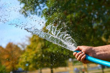 Su bitkilerine su döken bir hortumu tutan el.