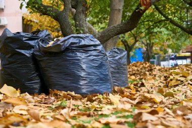 Park temizliği sırasında yaprakları dökülmüş plastik torbalar.