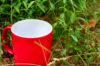 Çay zamanı. Kahve molası. Kırmızılı kupa orman çayırında 