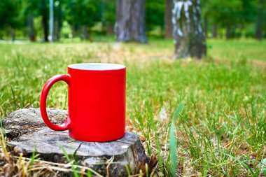 Çay zamanı. Kahve molası. Kırmızılı bardak orman çayırında. 
