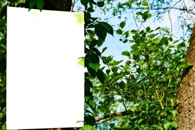 Yeşil ağaçtaki beyaz afiş, güneşli bir gün.