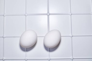 Dişi bir kuş, sürüngen, balık ya da omurgasız tarafından yerleştirilmiş oval ya da yuvarlak bir nesne, genellikle gelişmekte olan bir embriyo içerir.