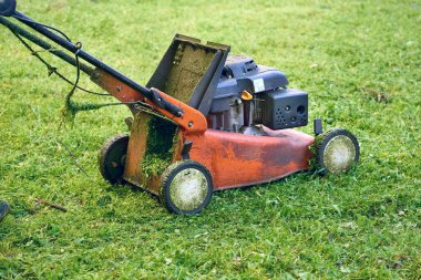 Bir çimenlikteki çimleri biçmek için elektrik ya da benzin makinesi